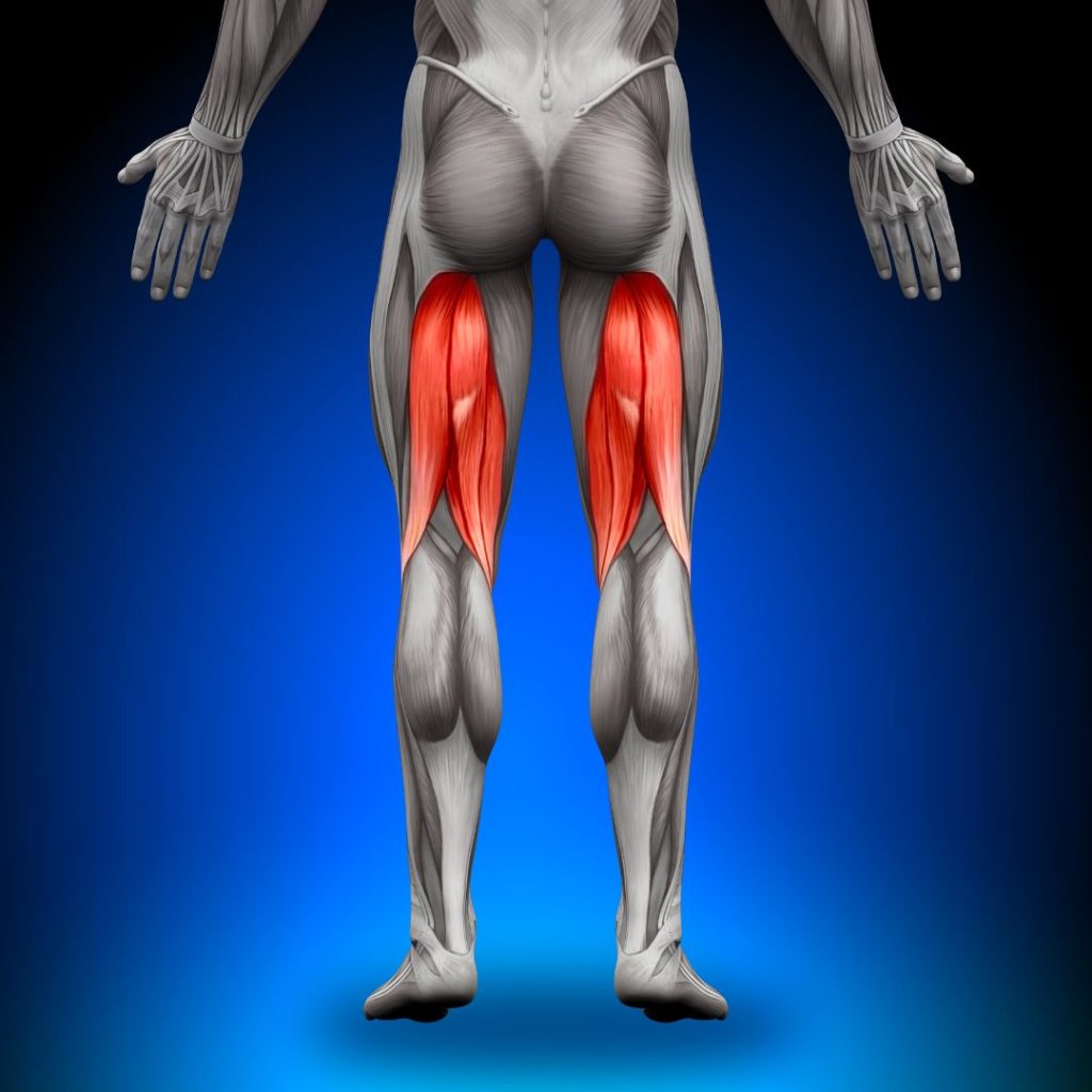 Prevent Recurrent Hamstring Strains